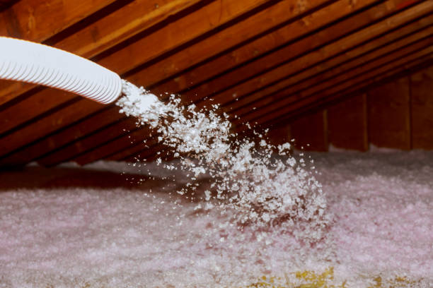 Best Energy Efficiency Insulation in Desoto Lakes, FL