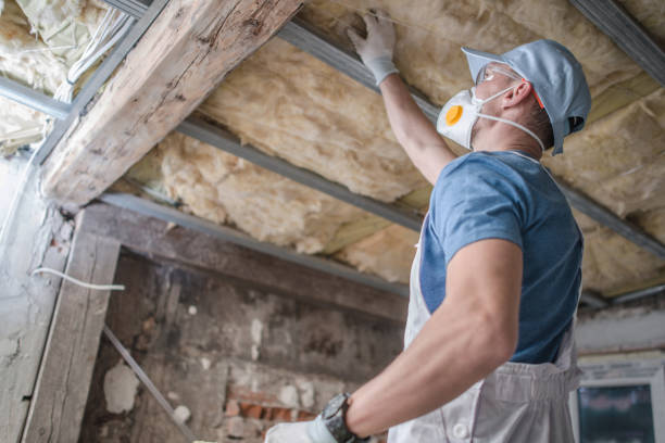 Best Blown-in Insulation in Desoto Lakes, FL