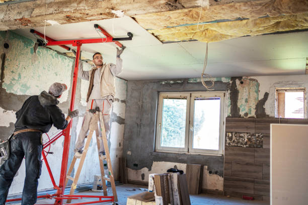 Best Blown-in Insulation in Desoto Lakes, FL