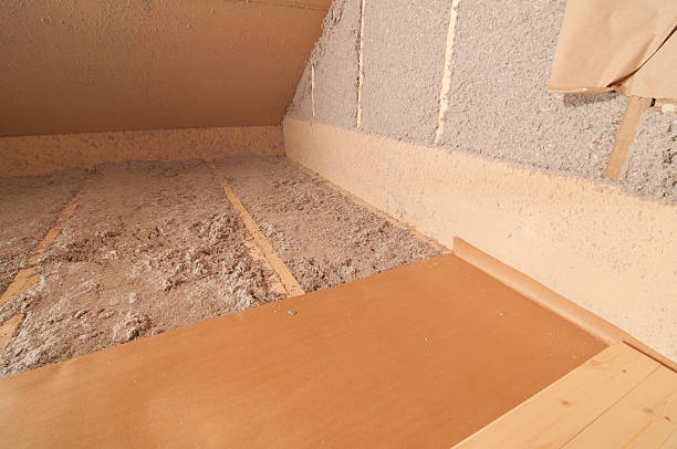 Best Eco-Friendly Insulation in Desoto Lakes, FL