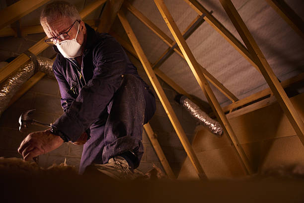 Best Insulation Maintenance and Repair in Desoto Lakes, FL